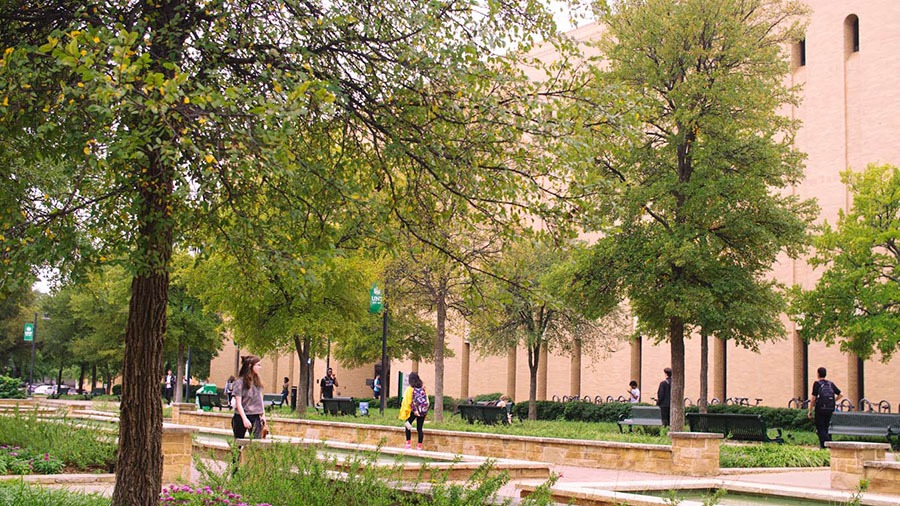 water fountain, trees, and front entrance to Willis Library