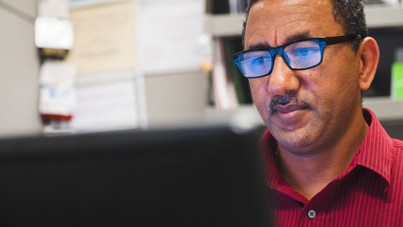 Digital Curation Unit University Libraries UNT