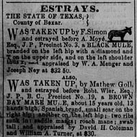 newspaper clipping of the Estrays section