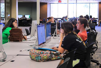 people sitting at computer workstations