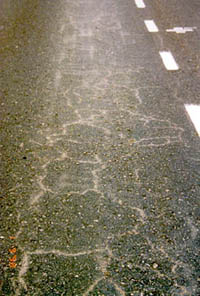 pavement photo