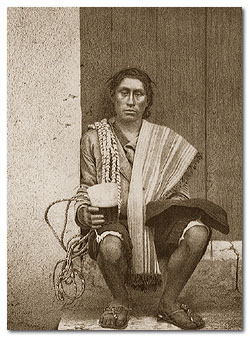 Peruvian Native